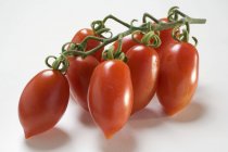 Fresh plum tomatoes — Stock Photo