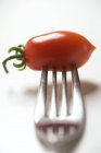 Tomate prune accéléré sur fourchette — Photo de stock