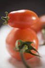 Червоний помідорами Слива — стокове фото
