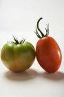 Dos tomates diferentes - foto de stock
