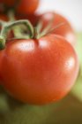 Fresh red tomatoes — Stock Photo