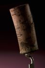 Closeup view of wine cork on corkscrew — Stock Photo