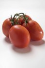 Tomates de ciruela frescos - foto de stock