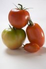 Quatre tomates différentes — Photo de stock