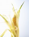 Органическая кукуруза с шелухой — стоковое фото