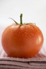 Pomodoro rosso maturo — Foto stock