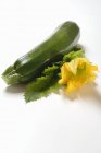 Grüne Zucchini mit Blüte und Blatt — Stockfoto