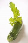 Grüne Zucchini mit Blatt — Stockfoto