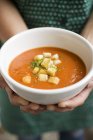 Руки держат миску томатного супа — стоковое фото