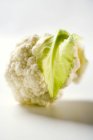 Cauliflower floret, close-up — Stock Photo