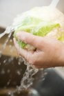 Washing cauliflower, close-up — Stock Photo