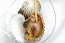 Closeup view of two Cockles in ladle — Stock Photo