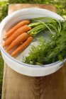Свіжа морква зі стеблами — стокове фото