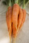 Zanahorias frescas maduras - foto de stock