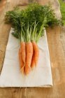 Fresh picked carrots — Stock Photo
