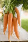 Frisch gepflückte Karotten mit Stielen — Stockfoto