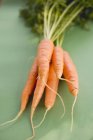 Свіжа стигла морква зі стеблами — стокове фото