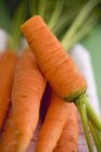 Frische reife Karotten — Stockfoto