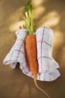 Zanahoria fresca con tallo - foto de stock