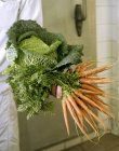 Mano che tiene carote raccolte fresche — Foto stock