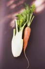 Свежая морковь и фенхель — стоковое фото