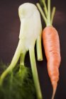 Свежая морковь и фенхель — стоковое фото