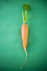 Zanahoria fresca con tallo - foto de stock