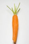 Peeled carrot with stalk — Stock Photo