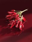 Red chillies bunch — Stock Photo