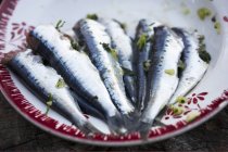 Grilled sardines on plate — Stock Photo
