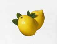 Два лимона с листьями — стоковое фото