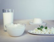 Varios productos lácteos en cuencos - foto de stock