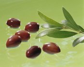 Schwarze Oliven mit Zweigen — Stockfoto