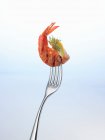 Closeup view of grilled prawn on a fork — Stock Photo