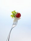 Mozzarella e tomate com manjericão em garfo — Fotografia de Stock