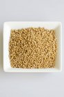 Mustard seeds in small white dish — Stock Photo