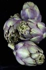 Frische violette Artischocken — Stockfoto