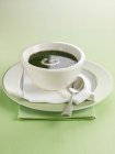 Watercress soup in white bowl — Stock Photo