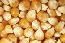 Primer plano de granos de maíz - foto de stock