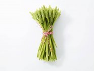 Fascio di asparagi selvatici — Foto stock