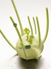 Fresh green kohlrabi — Stock Photo