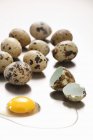 Varios huevos de codorniz - foto de stock