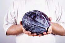 Man holding red cabbage — Stock Photo