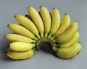 Bunch of small bananas — Stock Photo
