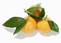 Naranjas mandarinas con hojas - foto de stock
