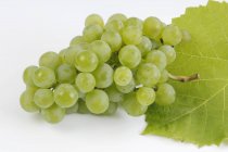 Куча зеленого винограда — стоковое фото