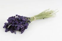 Lavendelstrauß, Nahaufnahme — Stockfoto