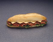 Sandwich de queso submarino - foto de stock