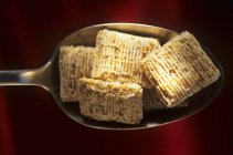 Spoonful of shredded wheat cereal — Stock Photo