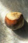 Dried Whole Hazelnut — Stock Photo